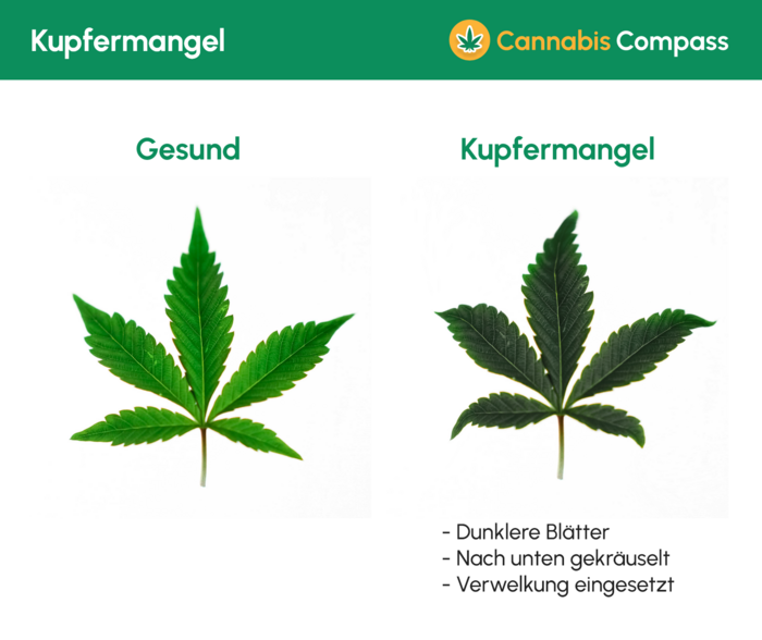 Kupfermangel
