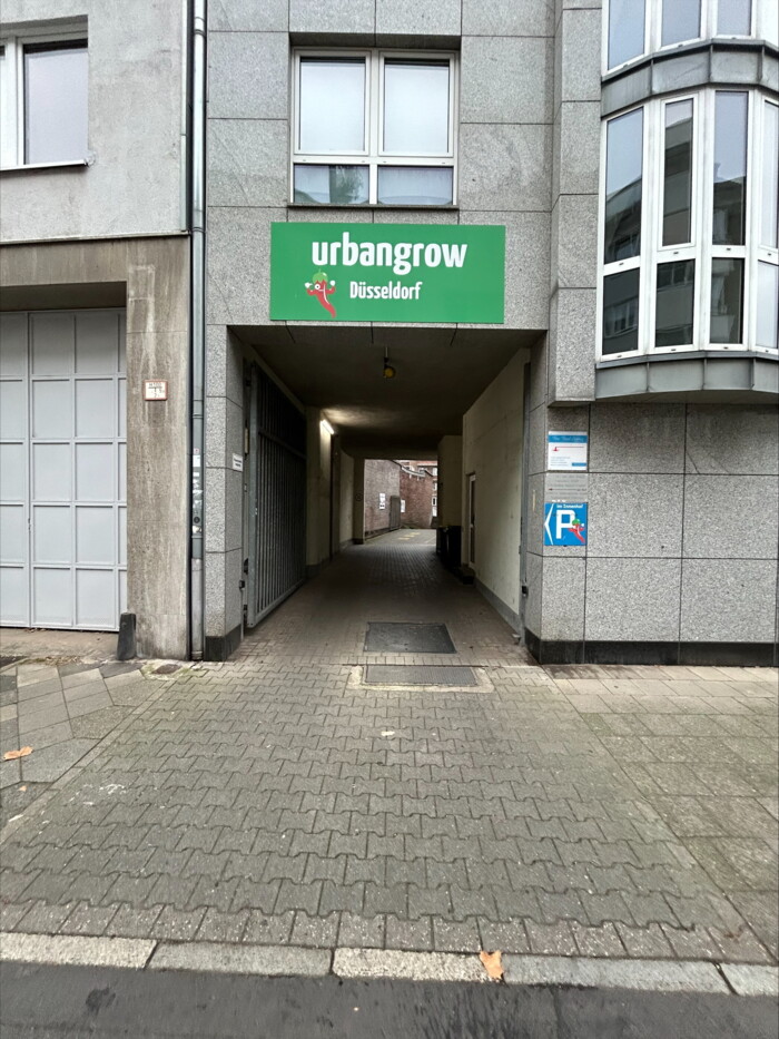 processed-05DDEE9A-0019-4EC1-8A5C-5F1CCADCF873