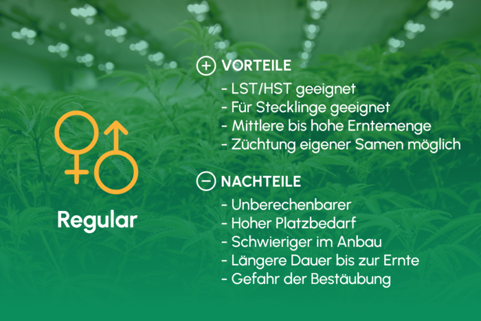 Regular_Uebersicht