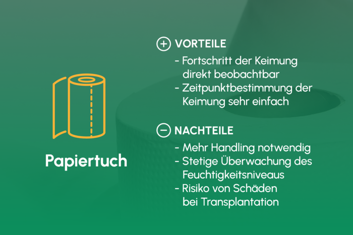 Keimung_Papiertuch