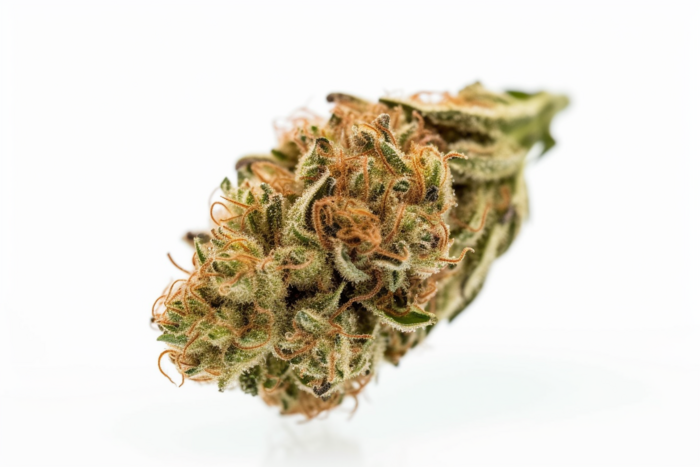 afghani