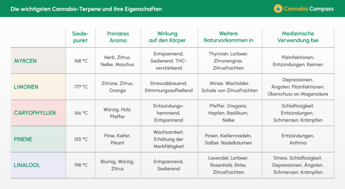 Die_wichtigsten_Cannabis_Terpene_und_ihre_Eigenschaften