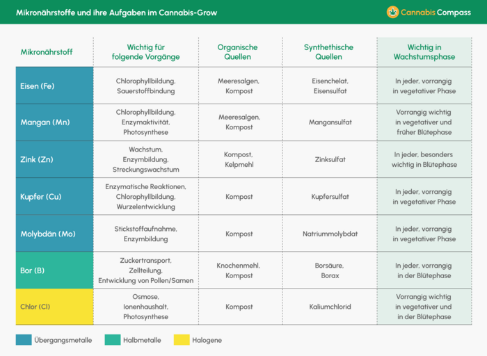 Mikronährstoffe_Cheatsheet