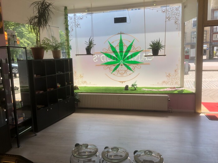 candybuds_hh
