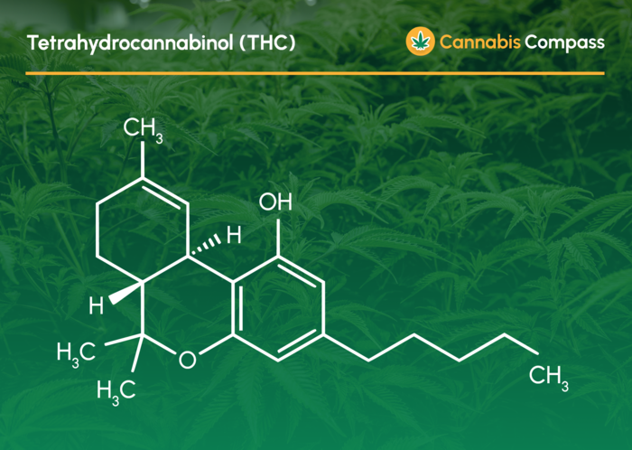 Strukturformel THC