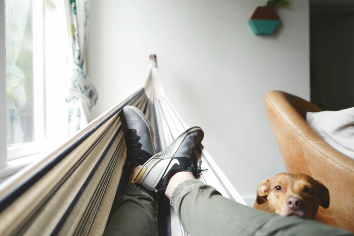 mann_in_haengematte_mit_hund_im_hintergrund