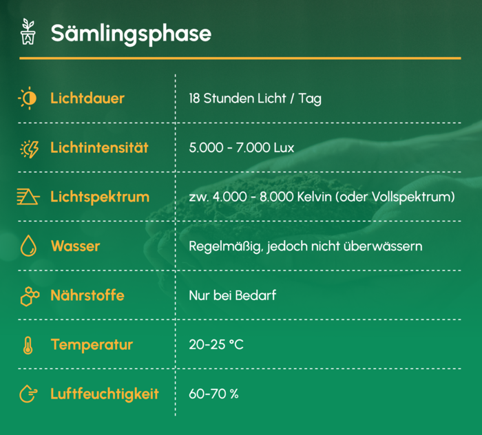 Saemlingsphase_Uebersicht
