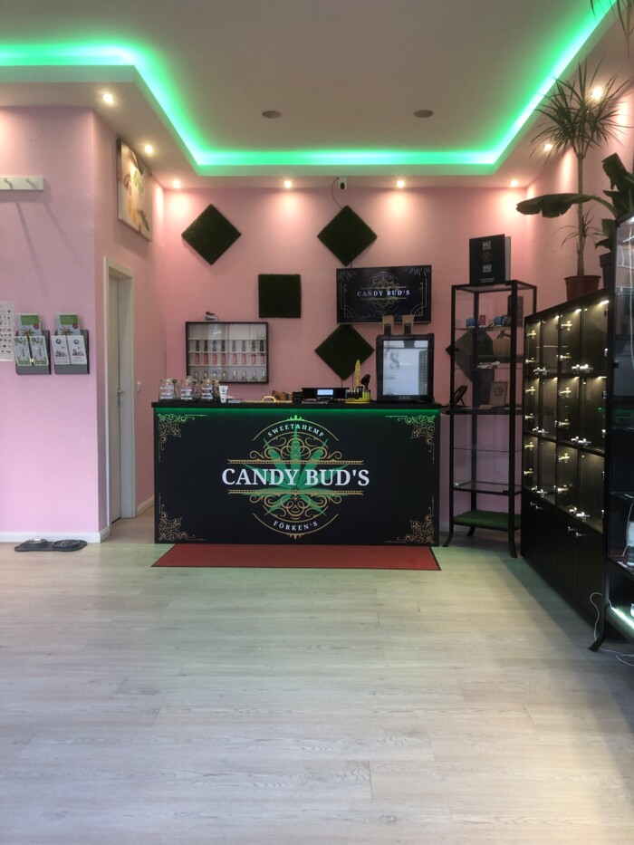 candybuds_hh2