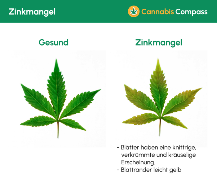 Zinkmangel
