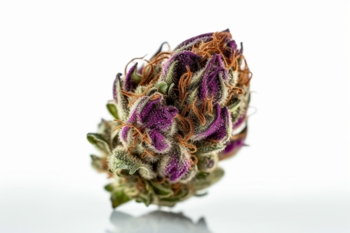 pink_kush