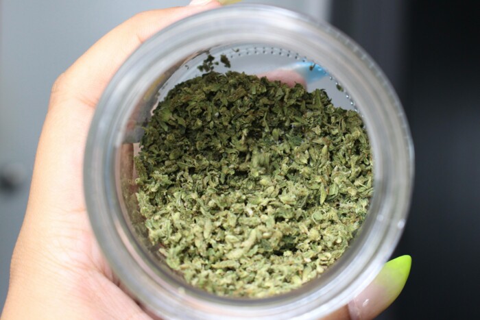Hand die ein Glas hält in welchem sich gegrindetes Cannabis befindet