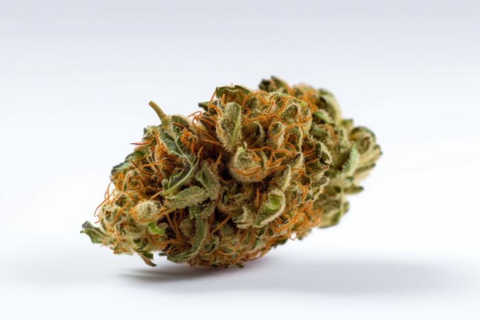 new_york_kush