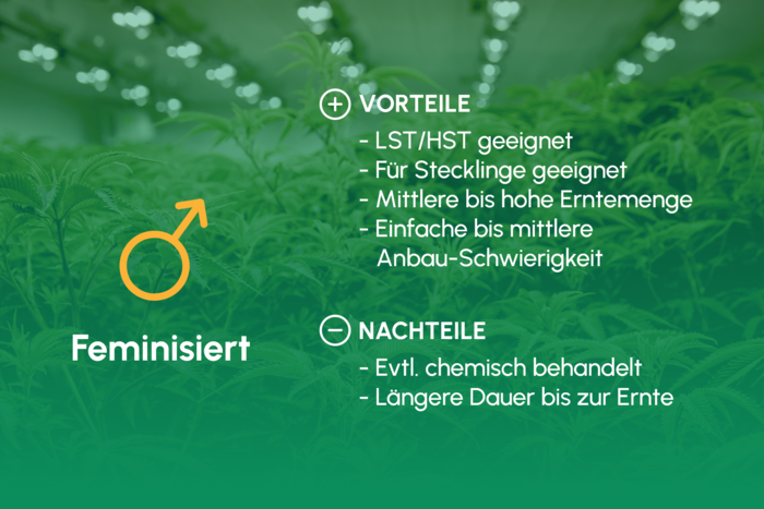 Feminisiert_Uebersicht