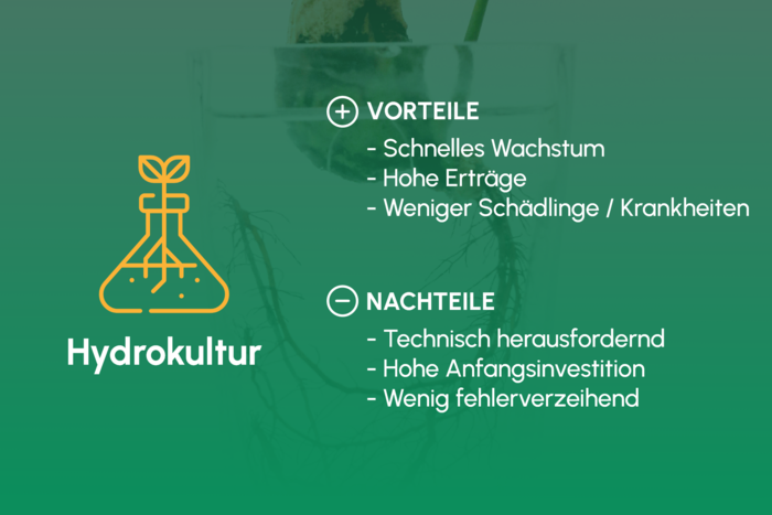 Hydrokultur_Uebersicht