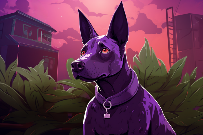 purple_dog_bud_main
