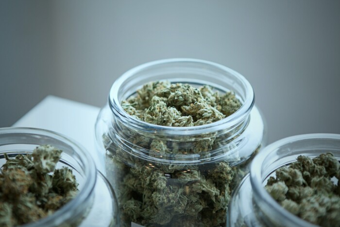 Drei Gläser voll mit Cannabisblüten welche auf einem Tisch stehen