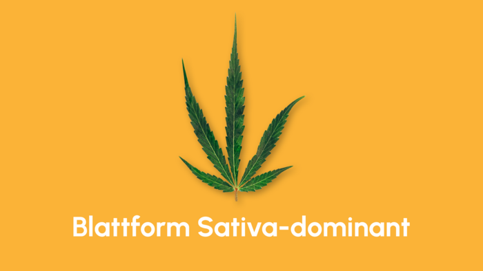 sativa_dominant