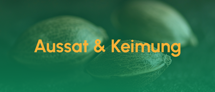 Teaser_Aussat und Keimung