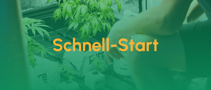 Schnell-Start