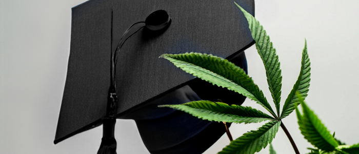studierenden_hut_mit_cannabis_blatt_vor_weissem_hintergrund