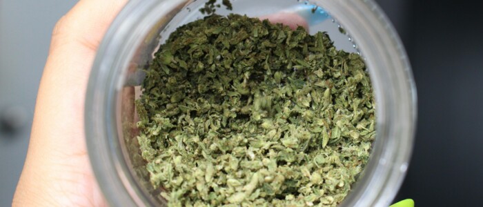 Hand die ein Glas hält in welchem sich gegrindetes Cannabis befindet