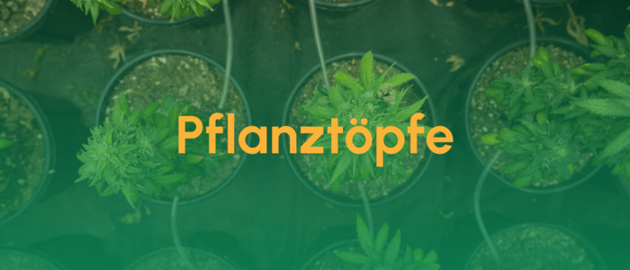 Teaser_Pflanztöpfe