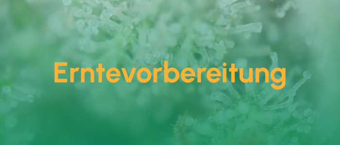 Teaser_Erntevorbereitung