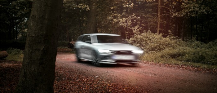 auto_im_wald_unscharf_hinter_baum