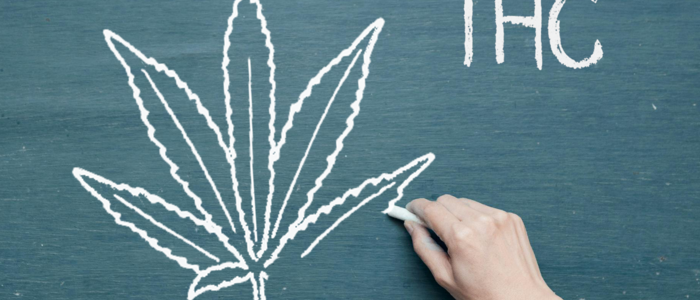 schultafel_mit_cannabisblatt_und_hand