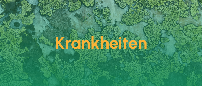 Krankheiten