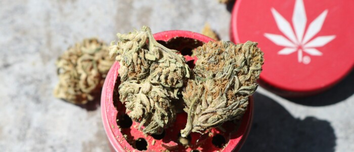 Cannabisblüten die auf einem roten Grinder liegen welcher auf einem Tisch liegt