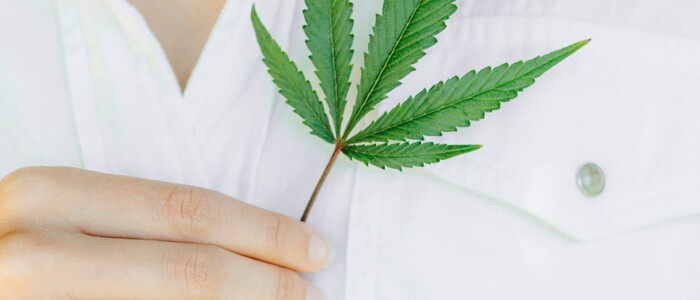 Frau mit weißem Hemd die sich ein Cannabisblatt vor die Brust hält