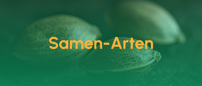 Teaser_Samen-Arten