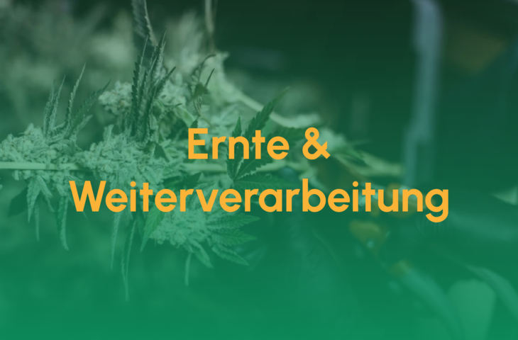 ernte_weiterverarbeitung_teaser