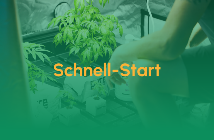 Schnell-Start
