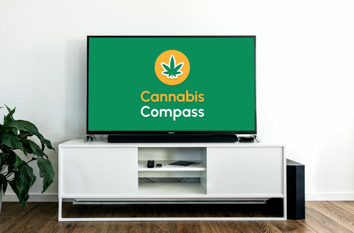 Szene eines TV-Tisches mit einem Fernseher auf welchem das Cannabis Compass Logo zu sehen ist 