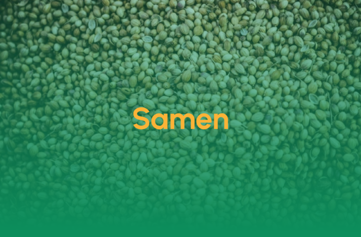 samen_teaser