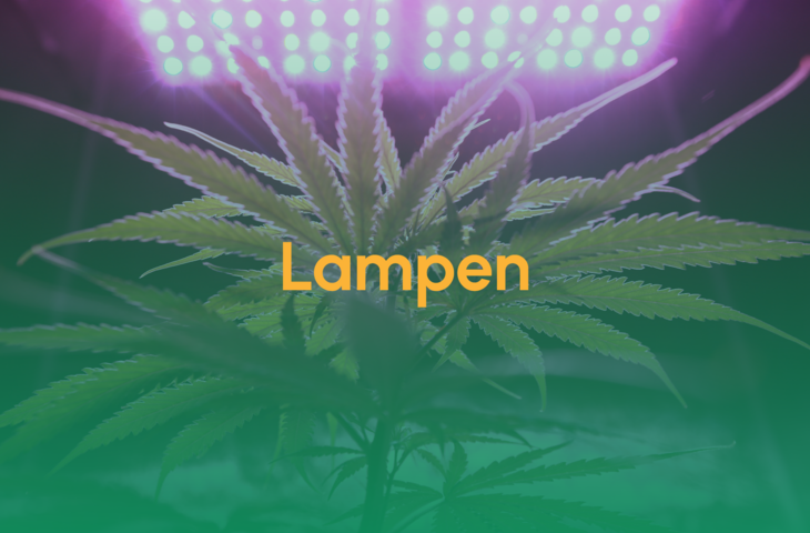 Teaser Lampen