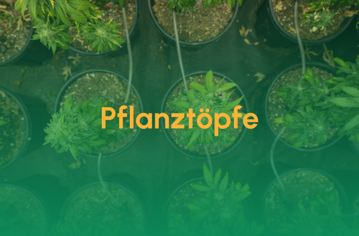 Teaser_Pflanztöpfe