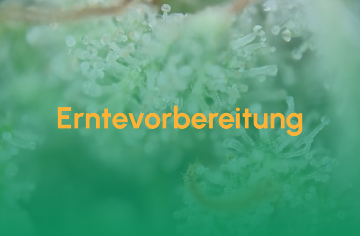 Teaser_Erntevorbereitung