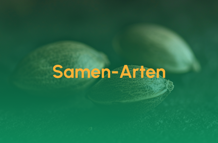 Teaser_Samen-Arten