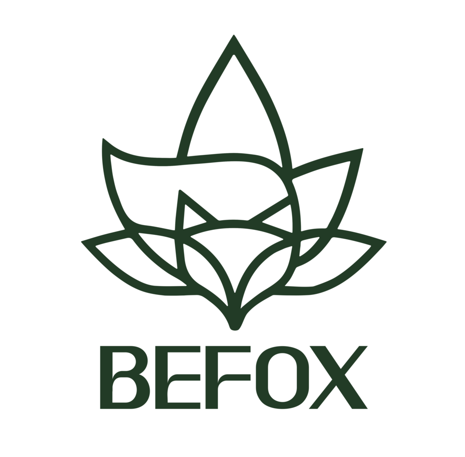 logo_befox_detox