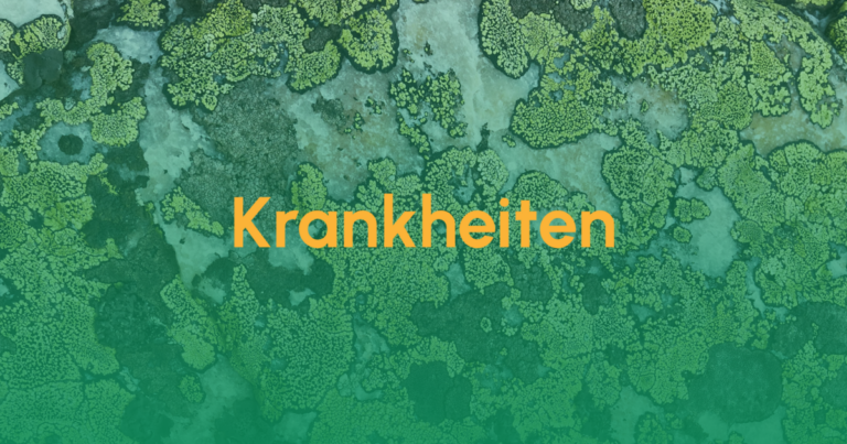 Krankheiten & Heilungsmöglichkeiten 3 Krankheiten