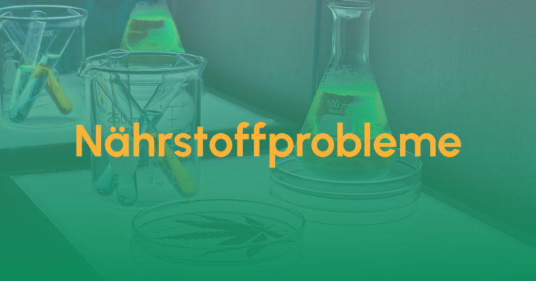 Nährstoffprobleme & Lösungen 4 Naehrstoffprobleme