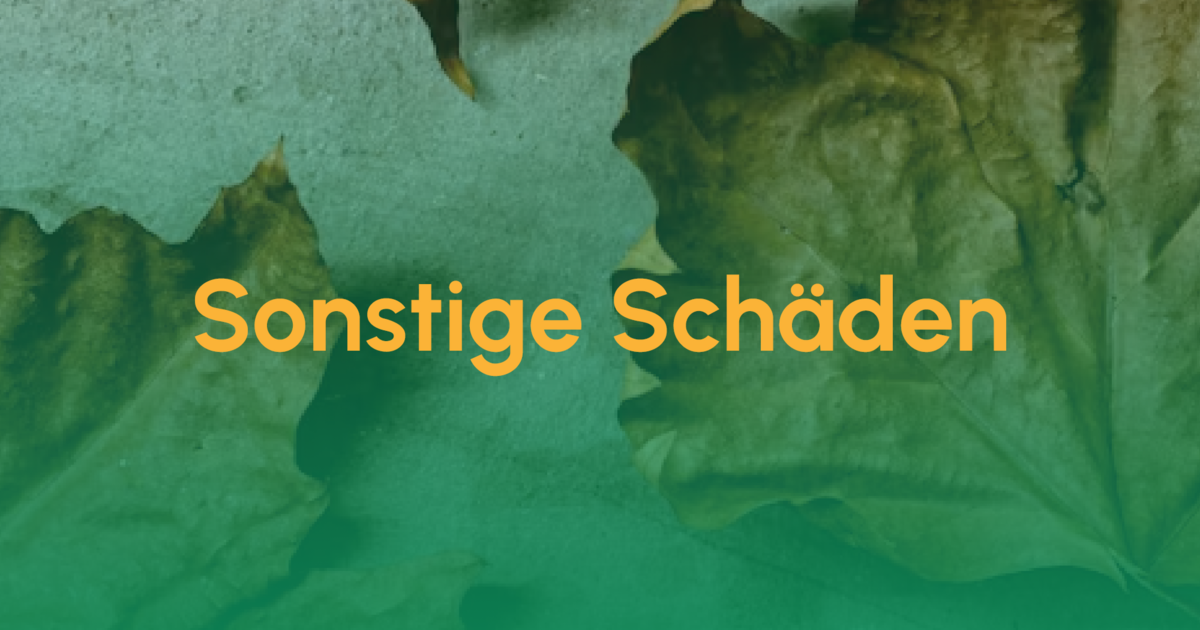 Sonstige Schaeden