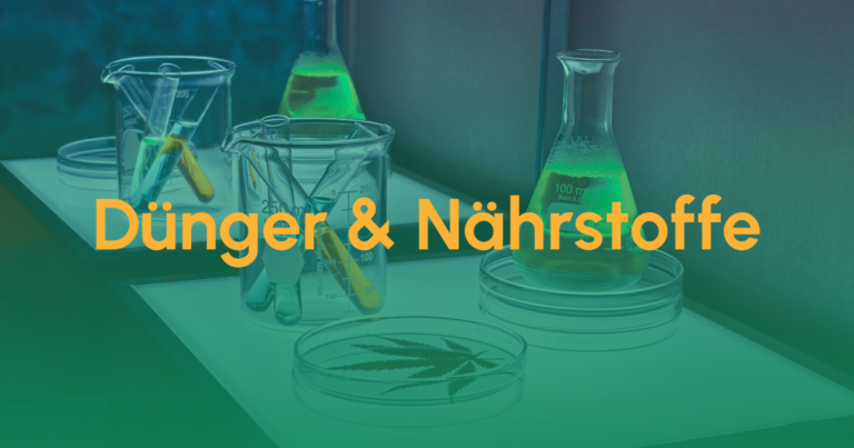 Dünger und Nährstoffe für Cannabis-Pflanzen 8 Teaser Duenger Naehrstoffe