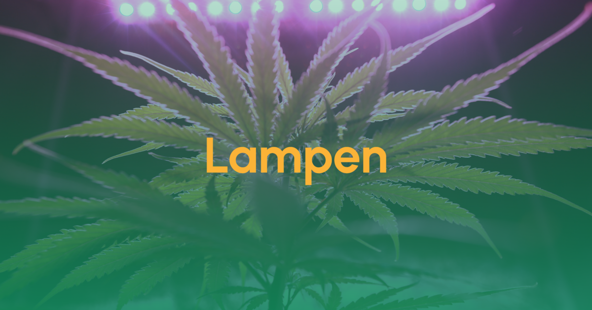 Lampen für den Cannabis-Anbau 1 Teaser Lampen