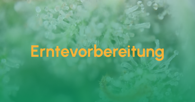 Teaser Erntevorbereitung