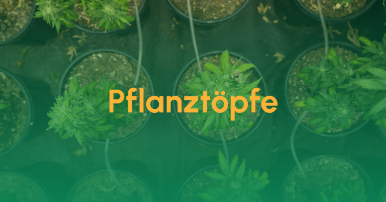 Pflanztöpfe für den Cannabis-Anbau 7 Teaser Pflanztoepfe