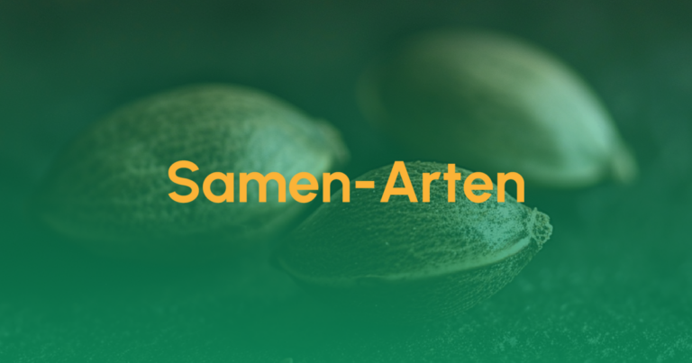 Cannabis Samen-Arten 2 Teaser Samen Arten